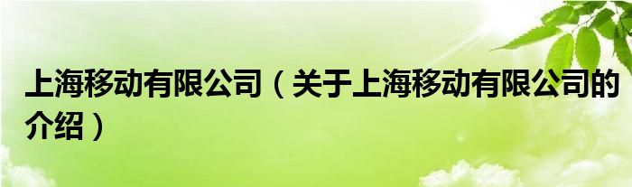 上海移动有限公司（关于上海移动有限公司的介绍）