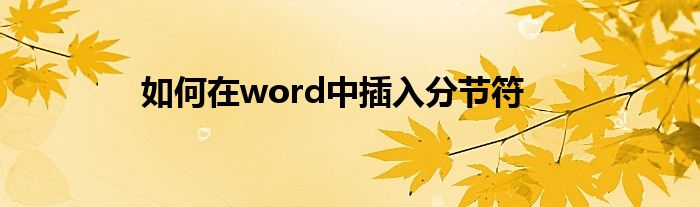 如何在word中插入分节符