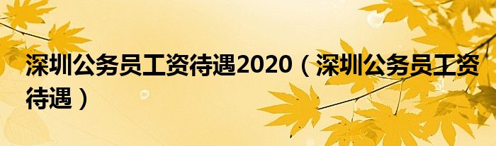 深圳公务员工资待遇2020（深圳公务员工资待遇）