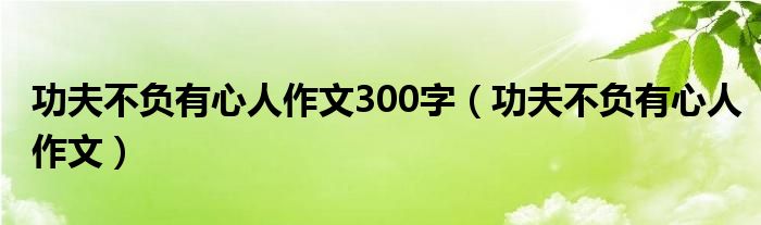 功夫不负有心人作文300字（功夫不负有心人作文）