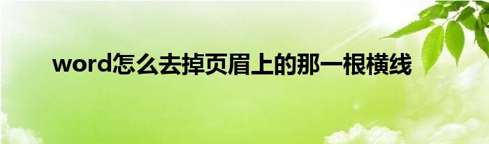 word怎么去掉页眉上的那一根横线