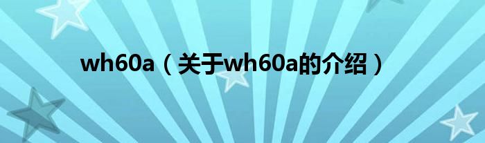 wh60a（关于wh60a的介绍）