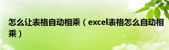 怎么让表格自动相乘（excel表格怎么自动相乘）