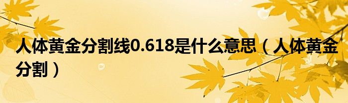 人体黄金分割线0.618是什么意思（人体黄金分割）