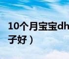 10个月宝宝dha什么牌子好（宝宝dha什么牌子好）