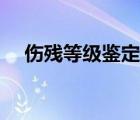 伤残等级鉴定标准最新（伤残等级鉴定）