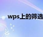 wps上的筛选怎么用（wps筛选怎么用）