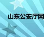 山东公安厅网站公告（山东公安厅网站）