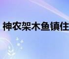 神农架木鱼镇住宿电话（神农架木鱼镇住宿）