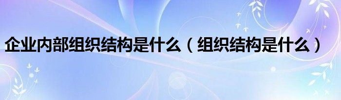 企业内部组织结构是什么（组织结构是什么）