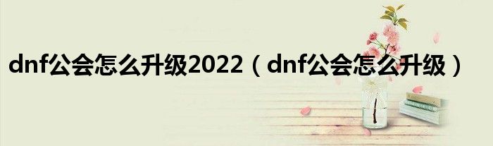 dnf公会怎么升级2022（dnf公会怎么升级）