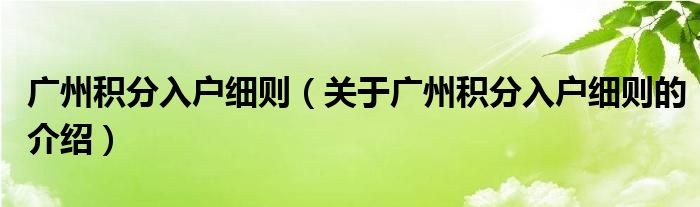 广州积分入户细则（关于广州积分入户细则的介绍）