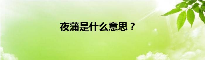 夜蒲是什么意思？