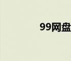 99网盘小说TXT（99网盘）