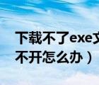 下载不了exe文件怎么办（下载的exe文件打不开怎么办）