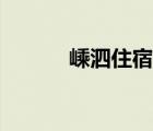 嵊泗住宿条件如何（嵊泗住宿）