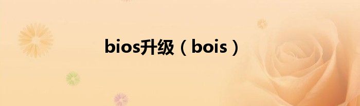 bios升级（bois）