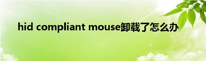 hid compliant mouse卸载了怎么办