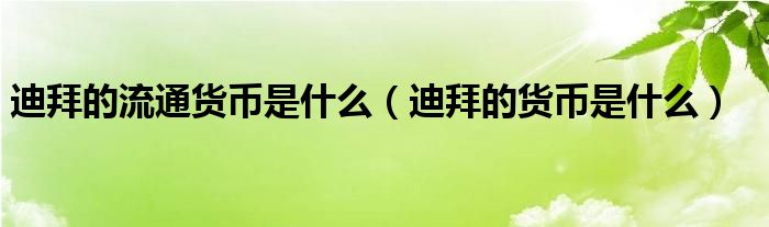 迪拜的流通货币是什么（迪拜的货币是什么）