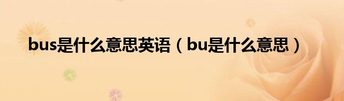 bus是什么意思英语（bu是什么意思）