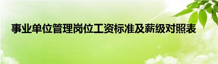 事业单位管理岗位工资标准及薪级对照表