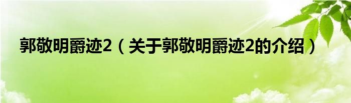 郭敬明爵迹2（关于郭敬明爵迹2的介绍）