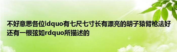 不好意思各位ldquo有七尺七寸长有漂亮的胡子猿臂枪法好还有一根弦如rdquo所描述的