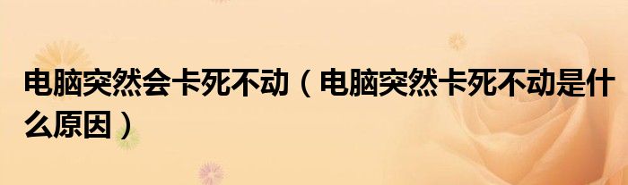 电脑突然会卡死不动（电脑突然卡死不动是什么原因）