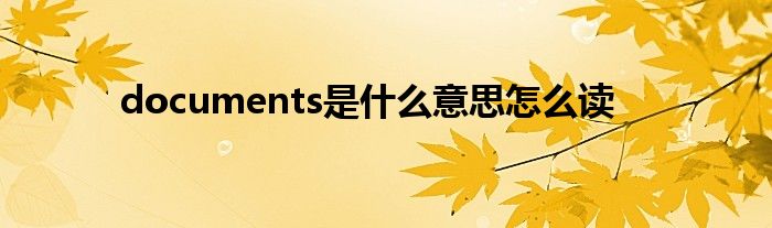 documents是什么意思怎么读