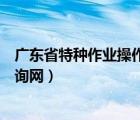 广东省特种作业操作证查询官网（广东省特种作业操作证查询网）