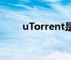 uTorrent是什么（utorrent2 2 1）