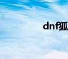 dnf狐狸头（dnf北极狐）