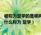 被称为显学的是哪两家（ldquo 显学 rdquo 是什么意思 为什么称为 显学）