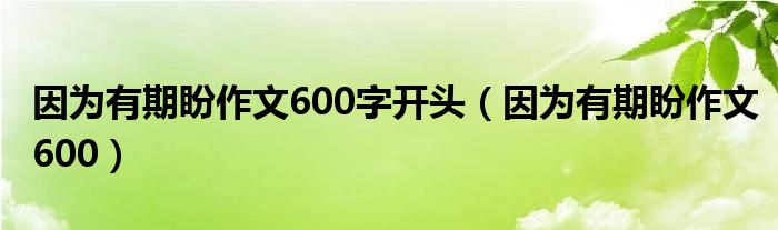 因为有期盼作文600字开头（因为有期盼作文600）