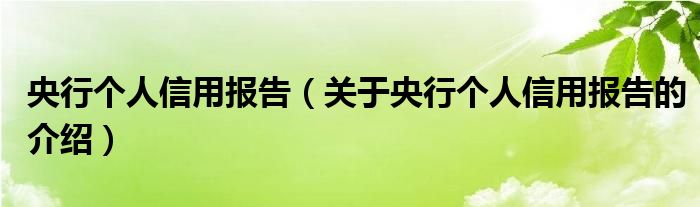 央行个人信用报告（关于央行个人信用报告的介绍）