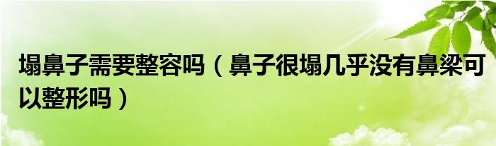 塌鼻子需要整容吗（鼻子很塌几乎没有鼻梁可以整形吗）