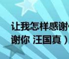 让我怎样感谢你 汪国真读后感（让我怎样感谢你 汪国真）