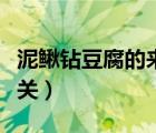 泥鳅钻豆腐的来历（泥鳅钻豆腐与哪位美人有关）