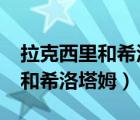 拉克西里和希洛塔姆外形一样吗?（拉克西里和希洛塔姆）