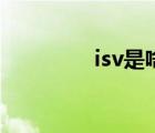 isv是啥（isv是什么意思）