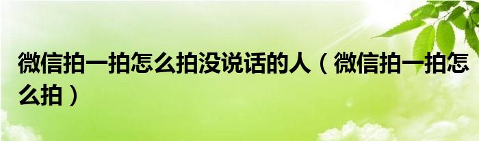 微信拍一拍怎么拍没说话的人（微信拍一拍怎么拍）