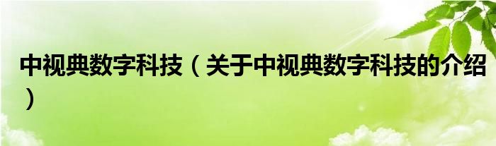 中视典数字科技（关于中视典数字科技的介绍）