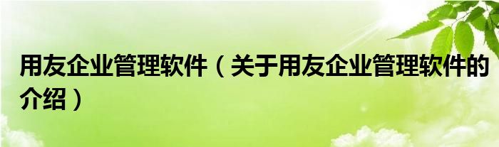 用友企业管理软件（关于用友企业管理软件的介绍）