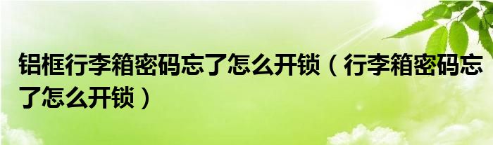 铝框行李箱密码忘了怎么开锁（行李箱密码忘了怎么开锁）