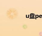 u盘pe怎么制作（u盘pe）