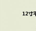 12寸平板电脑是多少厘米