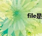 file是什么文件夹（file）