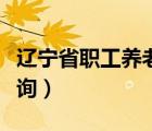 辽宁省职工养老保险查询（辽宁省养老保险查询）