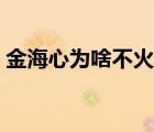 金海心为啥不火了（金海心为什么退出乐坛）