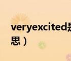 veryexcited是什么意思（excited是什么意思）